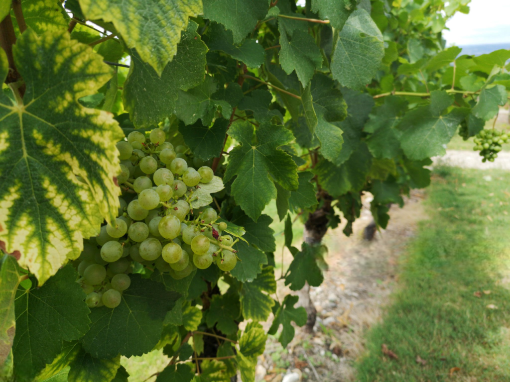 spécialités dordogne spécialités dordogne